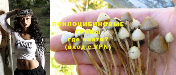 ешки Пестово