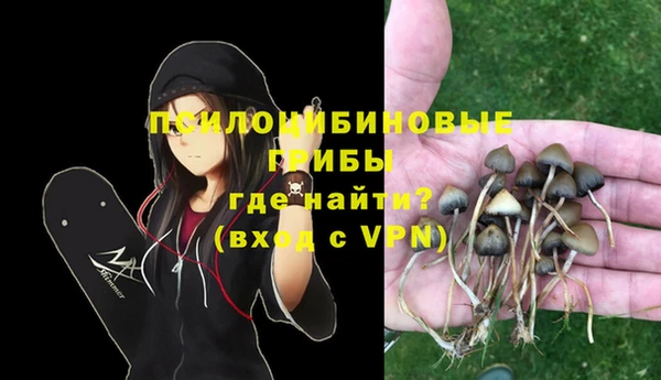 прущая мука Пересвет