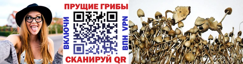 Псилоцибиновые грибы ЛСД  Красково 